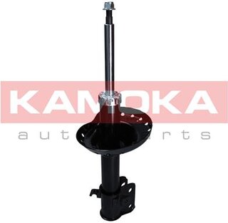 Kamoka 2000539