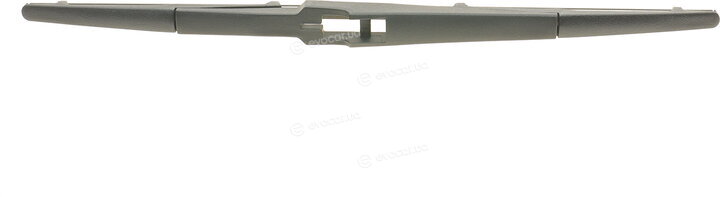 AIC 56831