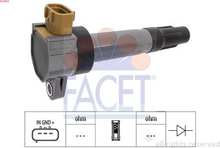Facet 9.6453