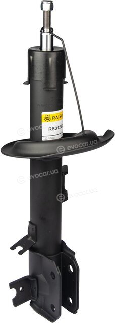 Raiso RS312821