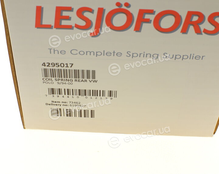 Lesjofors 4295017