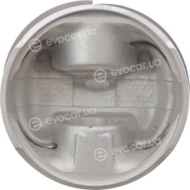 Mahle 011 69 02
