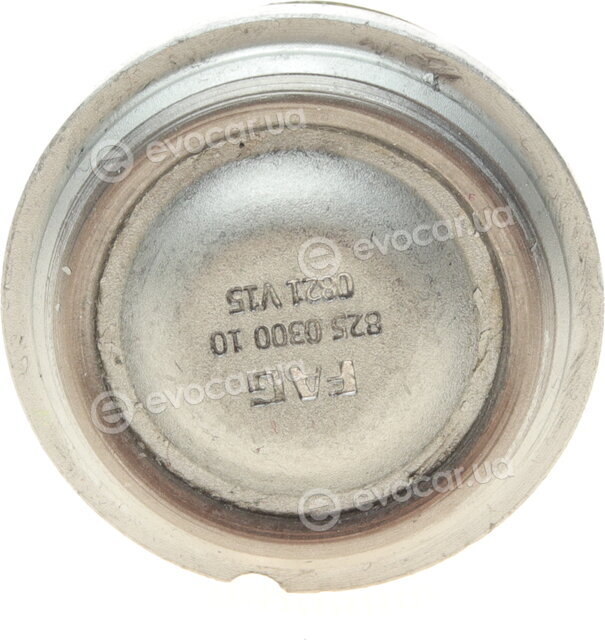 FAG 825 0300 10