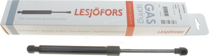 Lesjofors 8008414