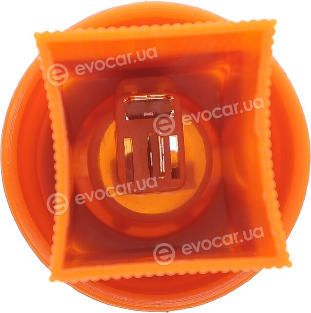 Solgy 301008