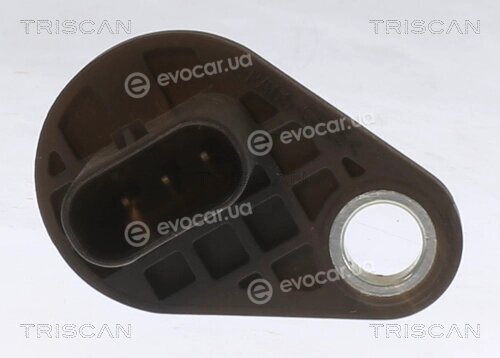 Triscan 8855 24146