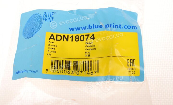 Blue Print ADN18074