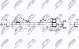 NTY NPW-PE-081