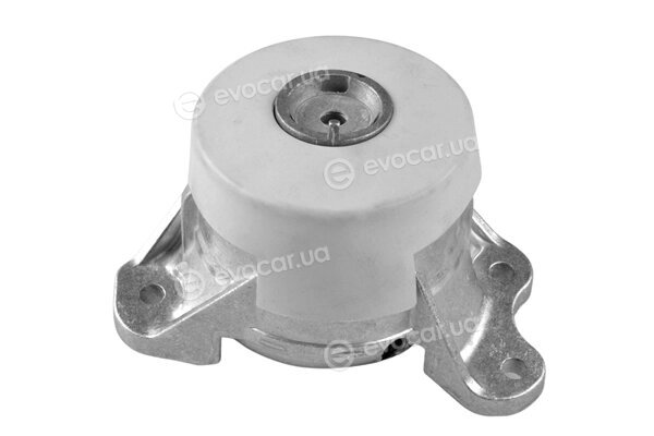 Tedgum TED46349