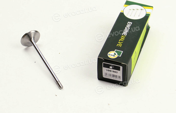 BGA V991863