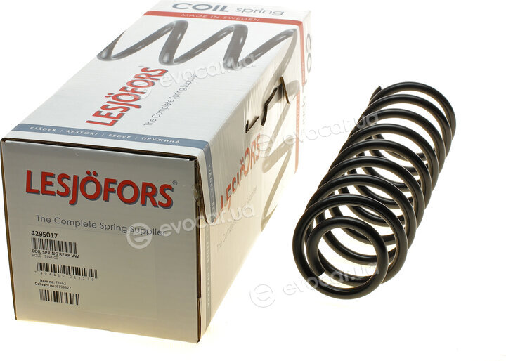 Lesjofors 4295017