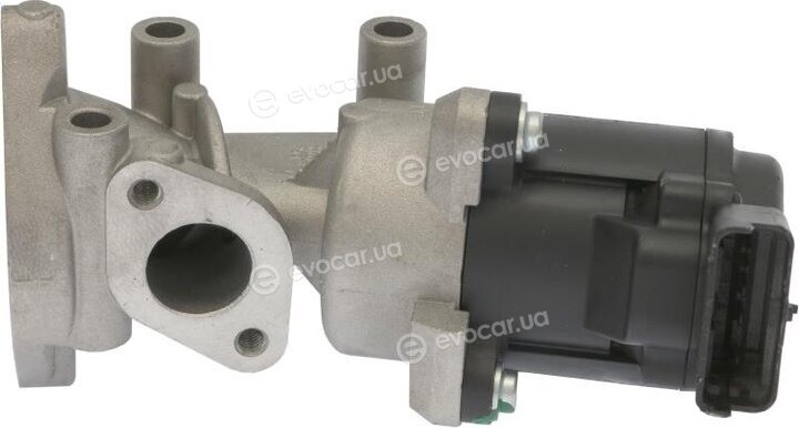 Starline ED STEG113-N