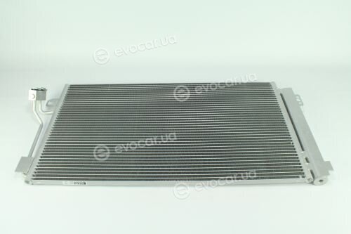Kale 381500