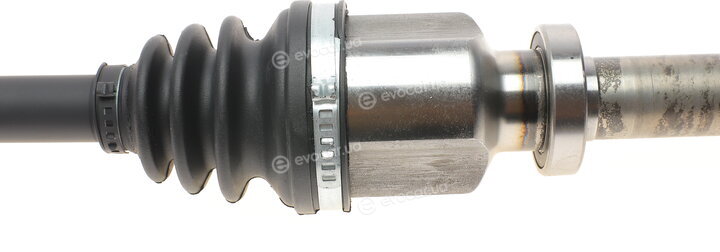 Metelli 17-1246