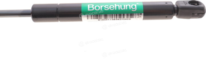 Borsehung B18441