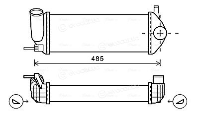 AVA RTA4484