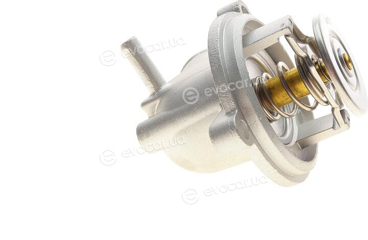 Bogap C4245104