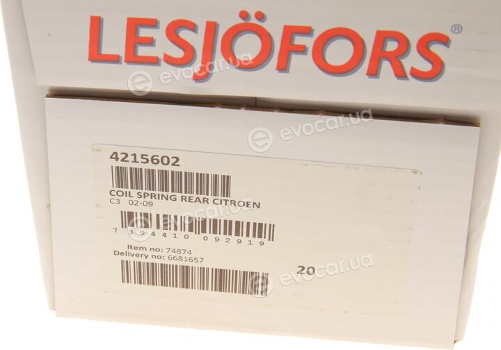 Lesjofors 4215602