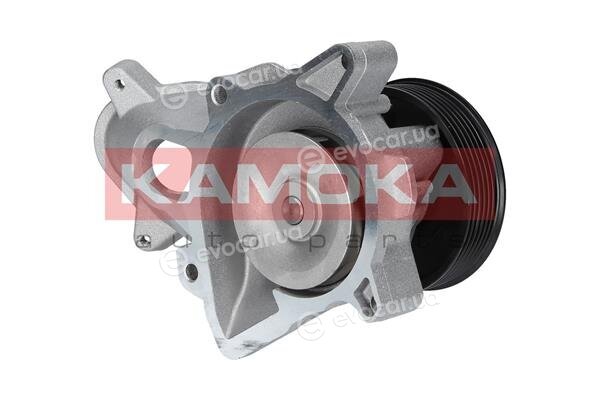 Kamoka T0052