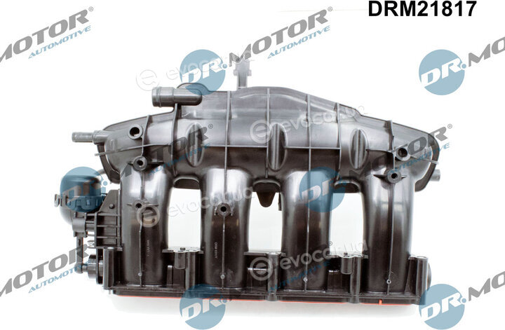 Dr. Motor DRM21817