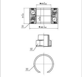 Starline LO 03413