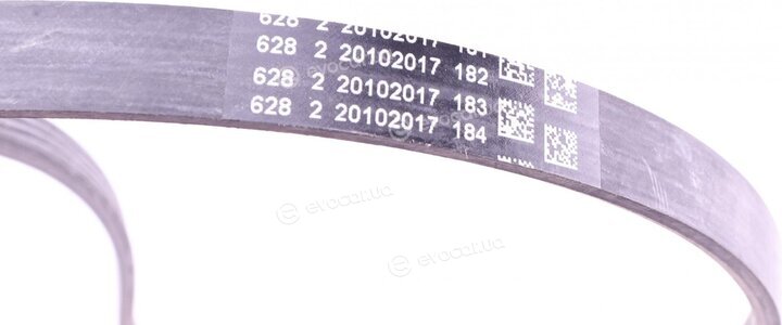 Continental 4PK924 ELAST