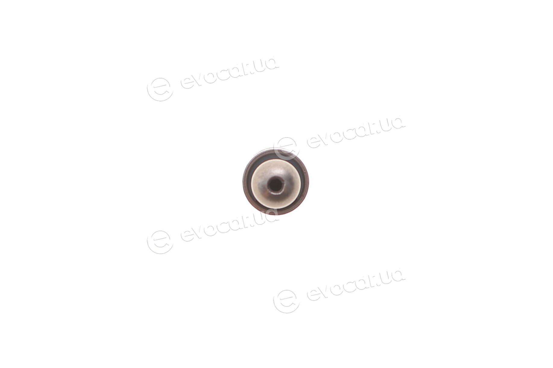 Motive RAK5067