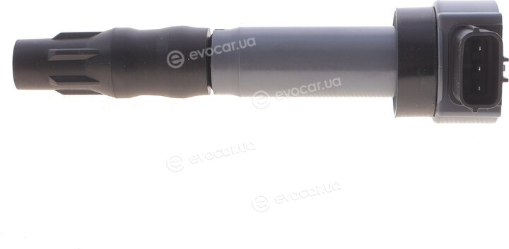 Beru ZSE310