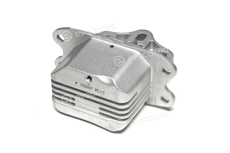 Febi 176007