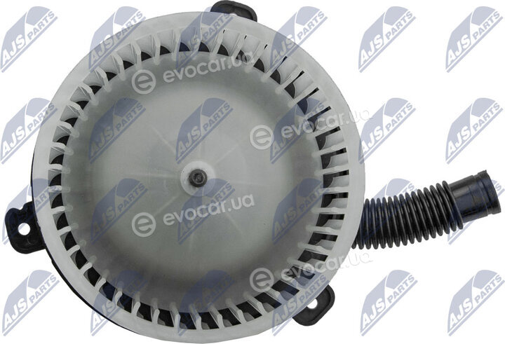 NTY EWN-MS-004