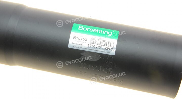 Borsehung B10153