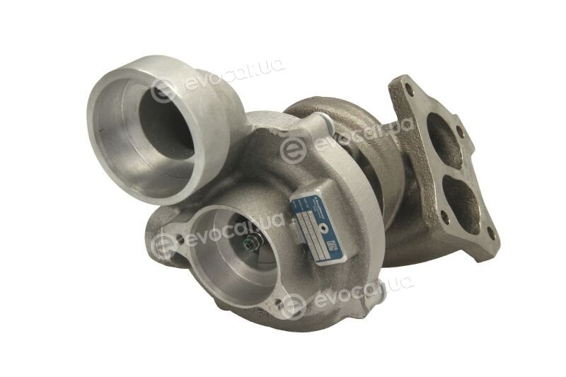 BorgWarner 54399880045