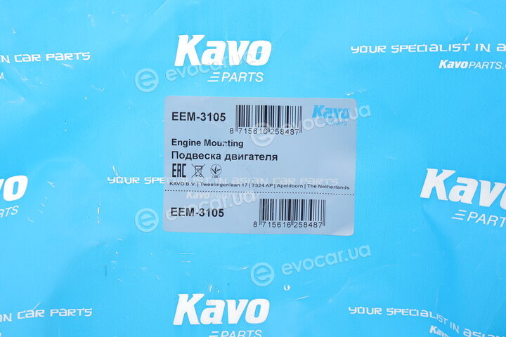 Kavo EEM-3105
