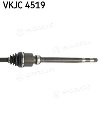 SKF VKJC 4519
