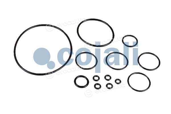 Cojali 6012080