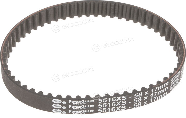 Gates KP25565XS-2