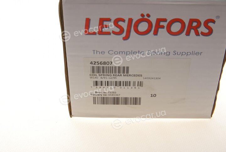 Lesjofors 4256807