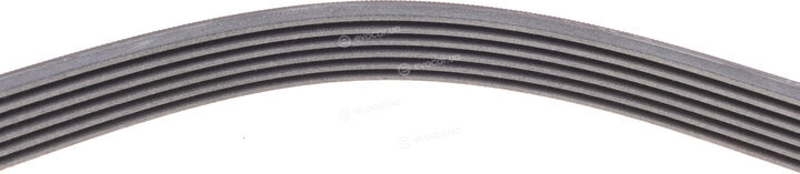 Continental 6PK1352