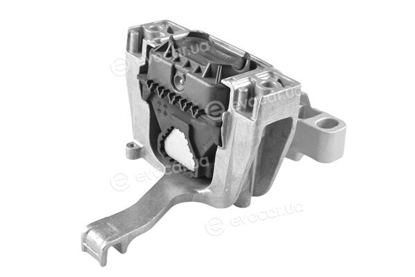Tedgum TED51460