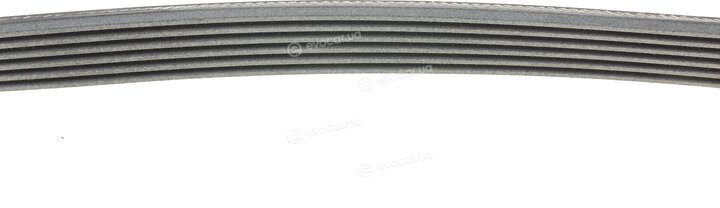 Continental 6PK948