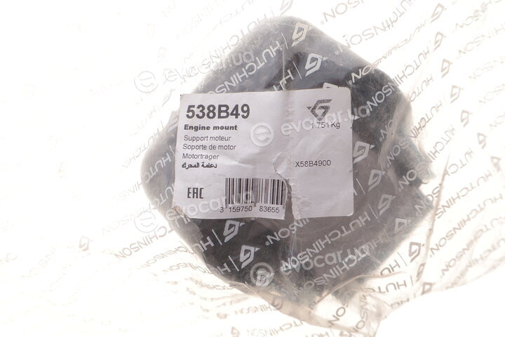 Hutchinson 538B49