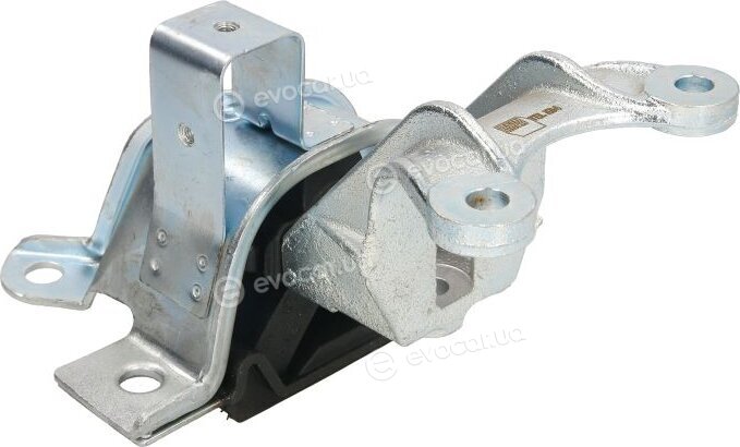 Reinhoch RH11-1071