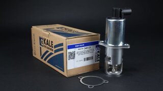 Kale 349125