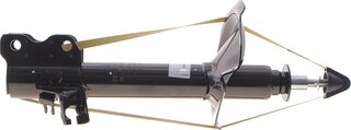 Sachs 317 113