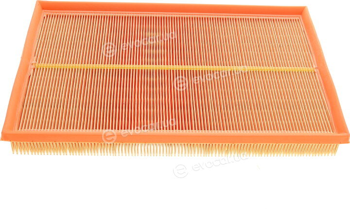 Mann C 34 116/1