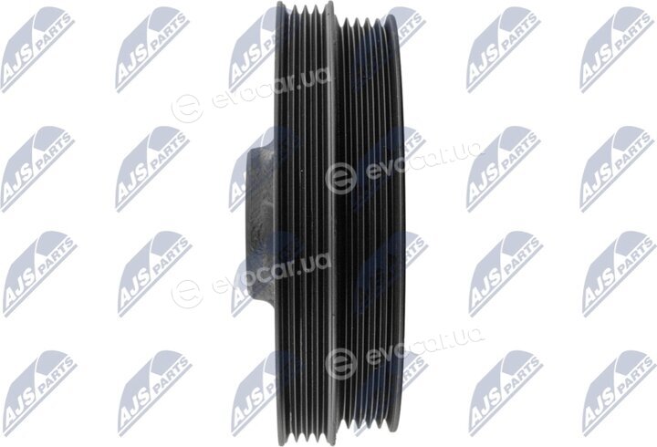 NTY RKP-MS-006