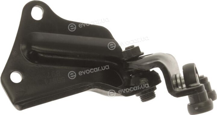 AIC 55574