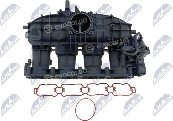 NTY BKS-VW-030