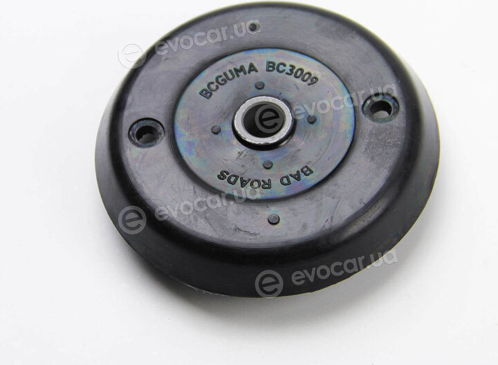 BC Guma 3009