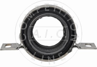 AIC 71491